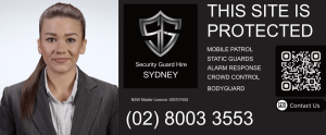 "Hire Security Guards for Sydney New Year's Eve | Protect Your Property">